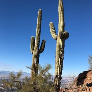 Meet your Posher, Sophie